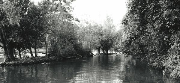 Trees by lake against sky