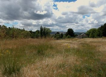 Scenic view of grassy field against cloudy sky