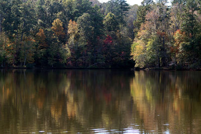 Scenic view of lake in forest during autumn