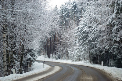 Road amidst trees during winter