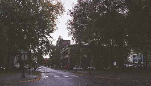 Road amidst trees against sky