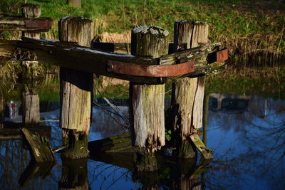 Reflection of trees in water