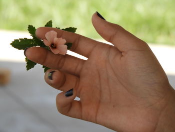 Cropped hand of woman holding flower