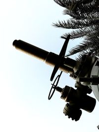 Low angle view of palm tree against sky