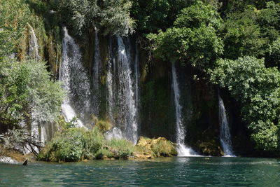 Scenic view of waterfall in forest