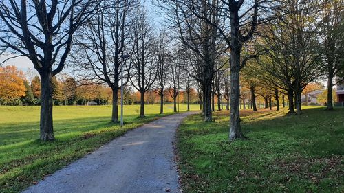 Road amidst bare trees in park