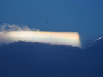 Airplane flying in sky