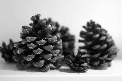 Close-up of pine cone on table