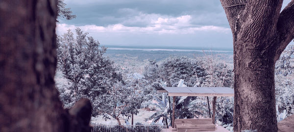 Panoramic view of tree by sea against sky