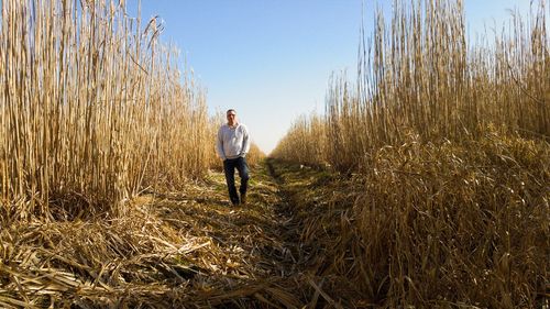 Full length of man walking on field against clear sky