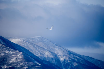 Low angle view of airplane flying over snowcapped mountains against sky