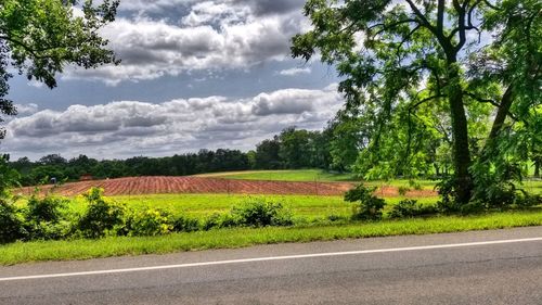 Scenic view of agricultural field against sky