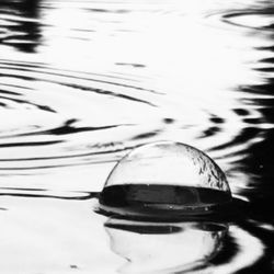 Reflection of trees in water