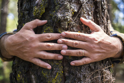 Close-up of hands holding tree trunk