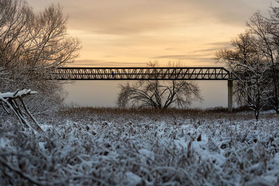 Bare trees on bridge against sky during sunset