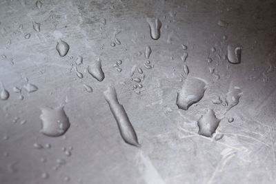 High angle view of raindrops on glass