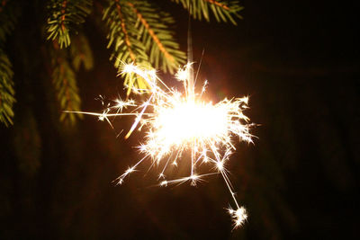 Low angle view of firework display at night