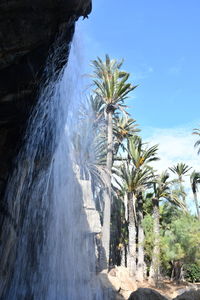 Palm trees by rocks against sky