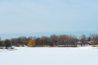 Trees on snow covered field against sky