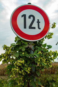 Close-up of road sign against sky