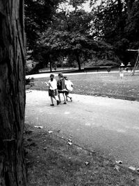 Person standing on tree trunk