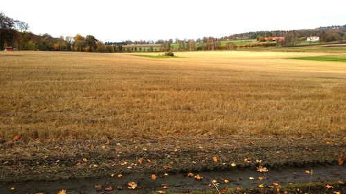 Scenic view of field against sky during autumn