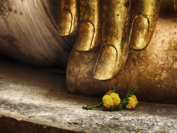 Close-up of yellow flowers by statue