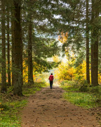 Rear view of woman walking on road in forest