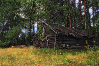 Wooden hut on field in forest