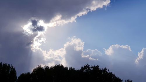 Low angle view of silhouette trees against sky