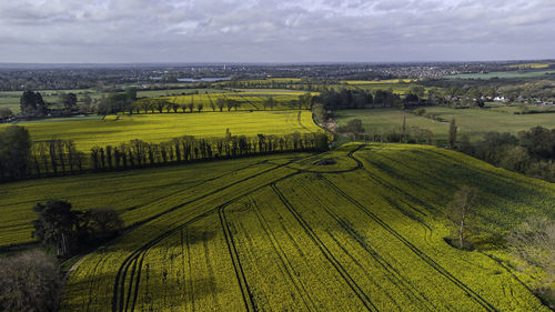 Scenic view of agricultural field against sky