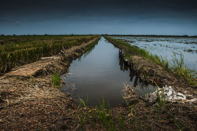 Water filled farms against sky