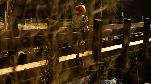 Woman wearing a pumkin helmet standing by a scenic bridge 