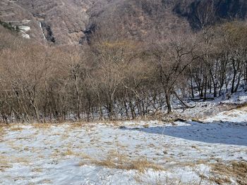 winter