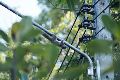 Low angle view of metal fence against trees