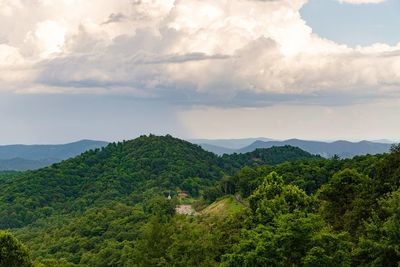 Trees and mountains against cloudy sky