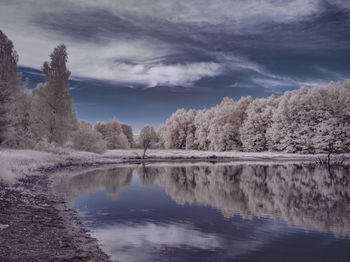 Scenic view of lake by trees against sky