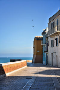 Seagull flying over sea and buildings against sky