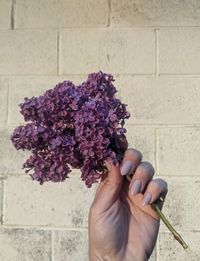 Cropped hand of woman holding bouquet against wall