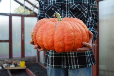 Close-up of pumpkins in pumpkin