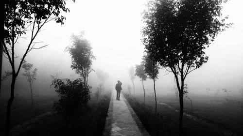 Rear view of man walking on road along trees
