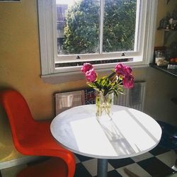 Potted plant on window sill