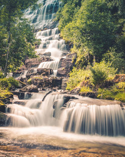 Waterfall in forest