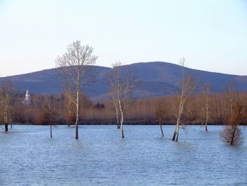 Scenic view of lake against clear sky