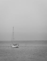 Sailboat sailing on sea against clear sky