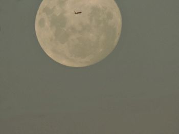 Low angle view of moon against sky