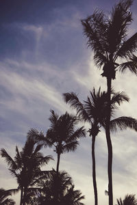 Low angle view of silhouette palm trees against sky