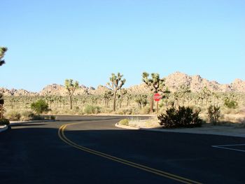 Road by trees against clear blue sky