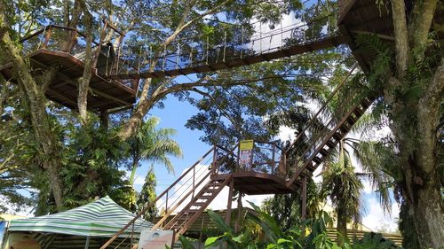 Low angle view of coconut palm tree against building