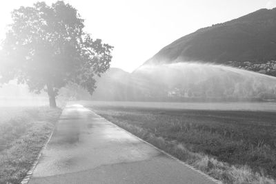 Road amidst trees on field against sky